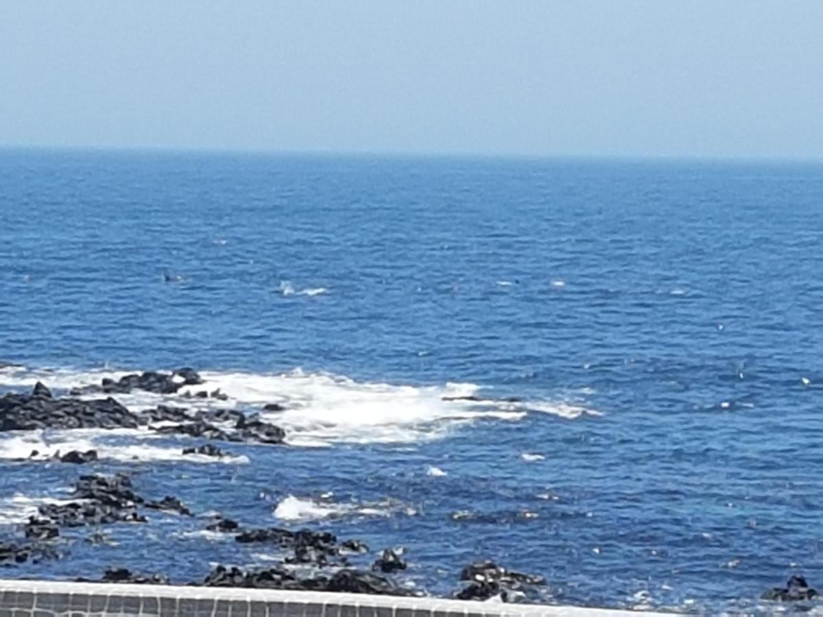 Jeju Amoje Villa Seogwipo Dış mekan fotoğraf